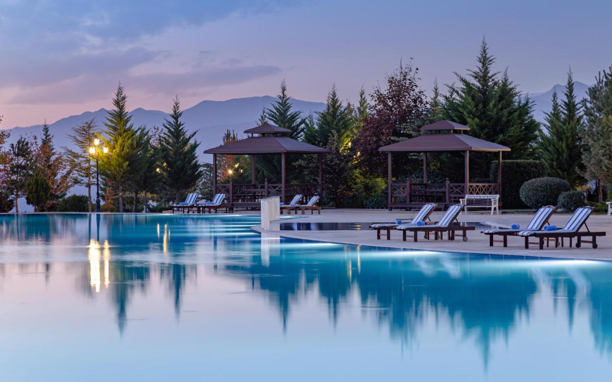 Shamakhi Palace Sharadil Seredil Exteriér fotografie The swimming pool at the hotel