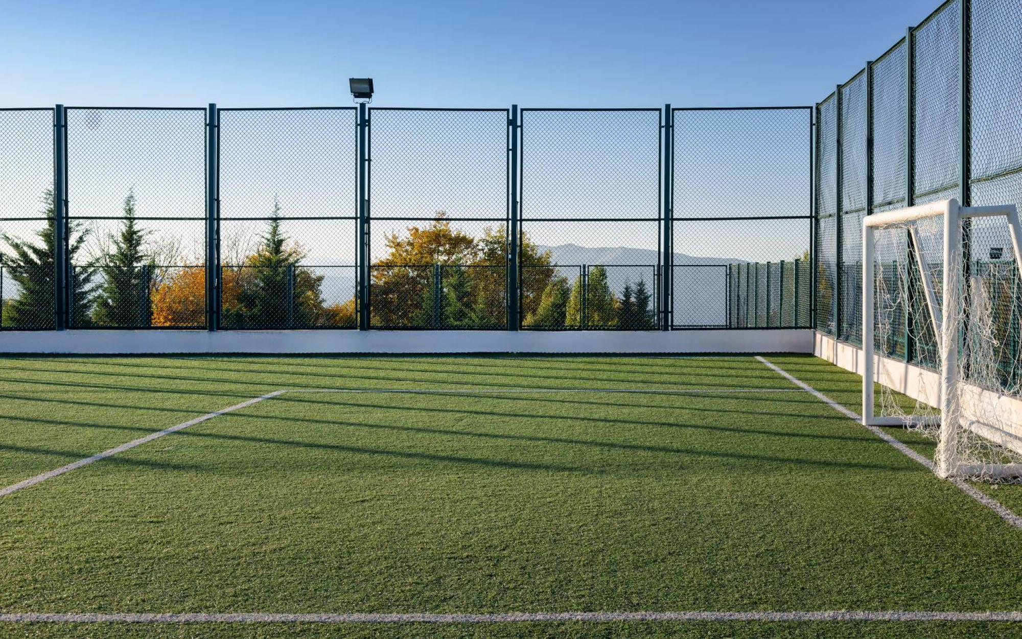 Shamakhi Palace Sharadil Seredil Exteriér fotografie The artificial grass pitch at the University of Novi Sad